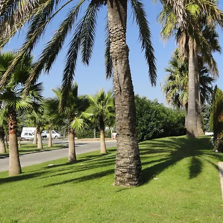 Apartamento Terrace Front & Sea View *